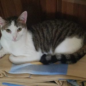 Meet your Posher, Angie